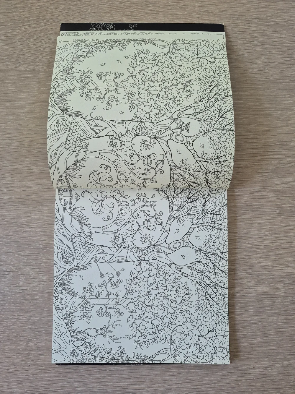 Enchanted Forest Coloring Book by — Cream & Gold